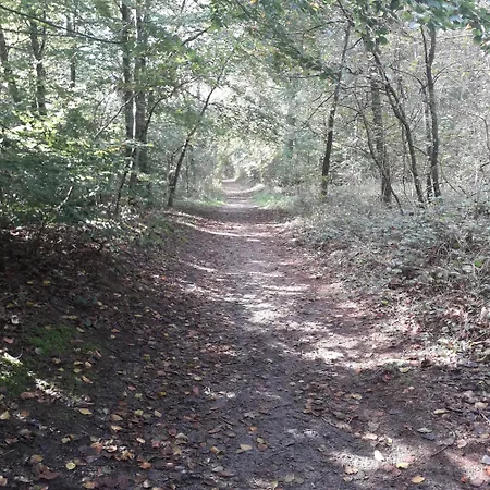 Casa de Férias 2 Le Grand Chene